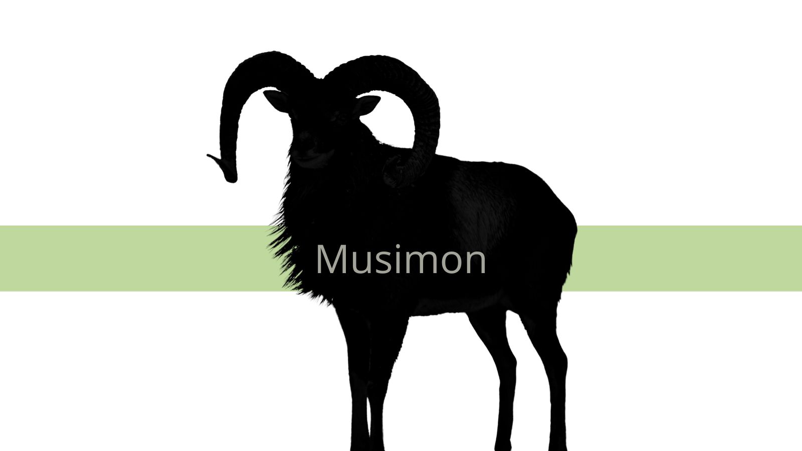 Muflon